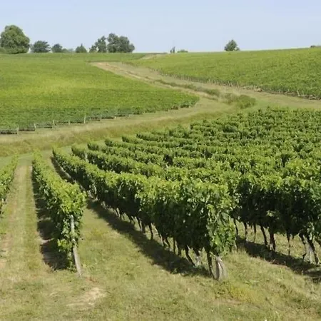 Chateau La France Couette-café Beychac-et-Caillau