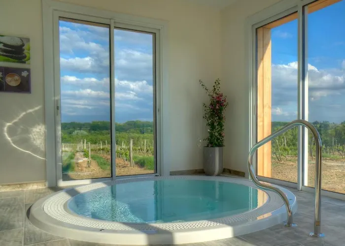 Chateau La France Bed & Breakfast 3*